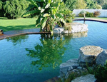 Cómo crear un entorno natural en tu piscina