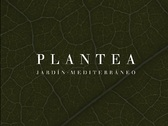 Logo Plantea