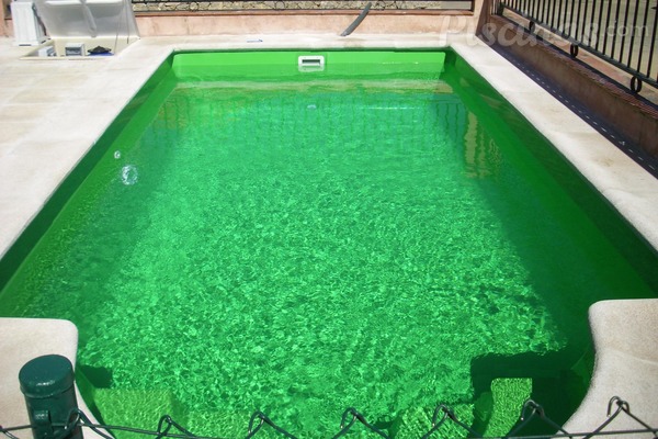 ¿Por qué el agua de mi piscina es verde?