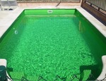 ¿Por qué el agua de mi piscina es verde?