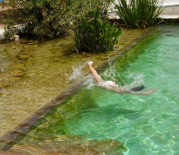Sensación y espacio en una piscina naturalizada
