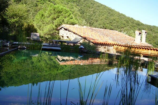 Sensación y espacio en una piscina naturalizada