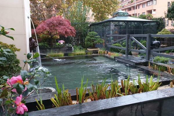 Sensación y espacio en una piscina naturalizada