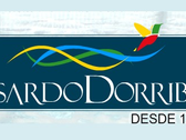 Lisardo Dorribo Camba, S.A.