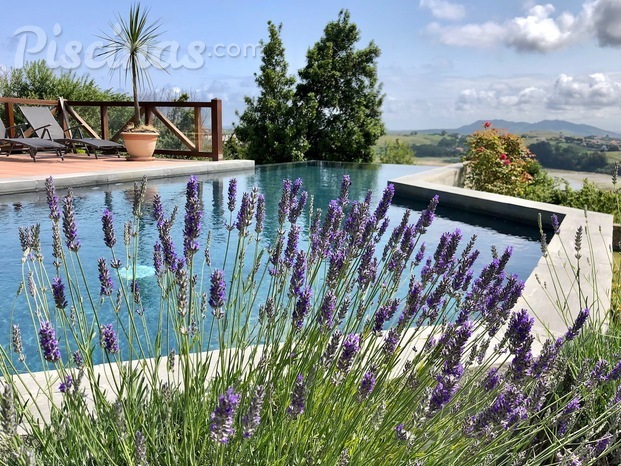 Piscina con vistas