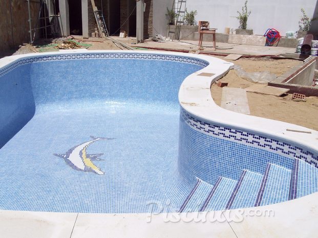 Piscina Modelo Riñón