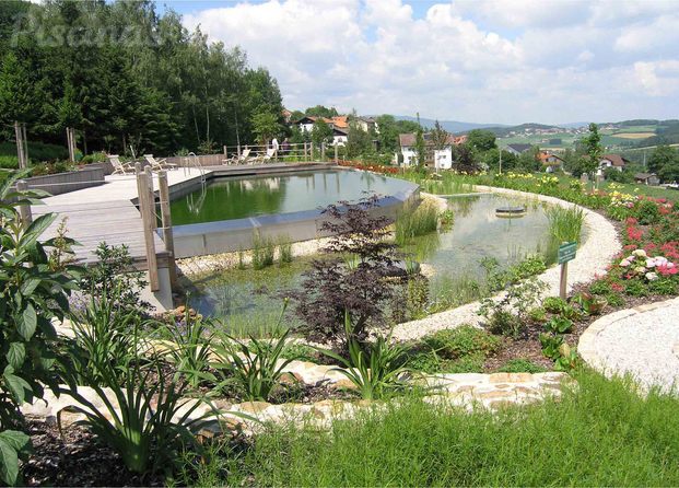 Piscina natural Bionova_Alemania_4