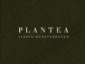 Plantea