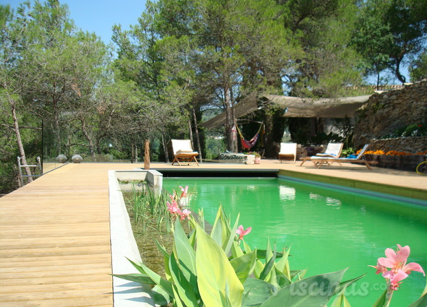 Piscina naturalizada