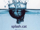 Splash