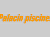 Piscinas Palacin