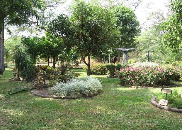 Jardineria Guadalhorce