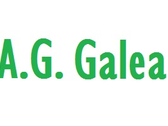 A.g. Galea