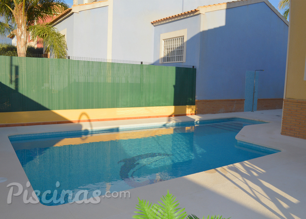 Piscina Irregular 8x3 metros