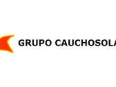 Grupo Caucho Solar