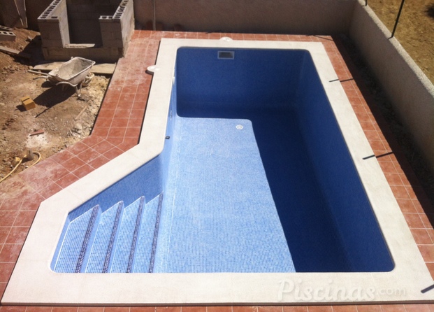 Piscina Privada con escalera lateral